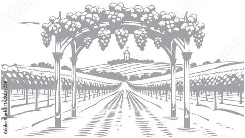 Illustration of Vineyard Landscape with Grape Arbor and Church on a Hill