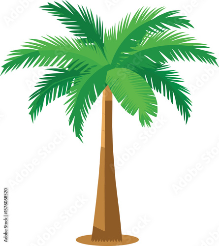 Curved Palm Trees with Leaves – Tropical Coconut Tree  Art & Illustration