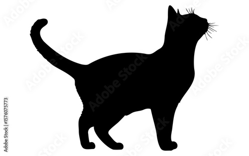 Black and White Halloween Cat – Cute Spooky Vector Drawing