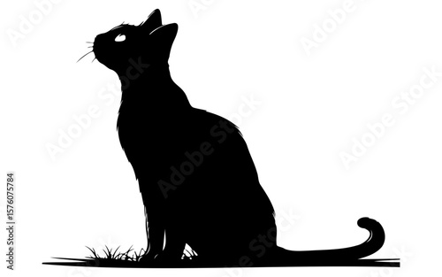 Black and White Halloween Cat – Cute Spooky Vector Drawing