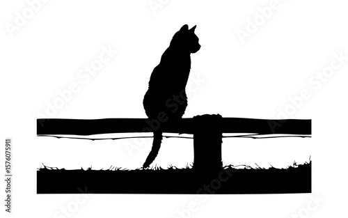 Black and White Halloween Cat – Cute Spooky Vector Drawing