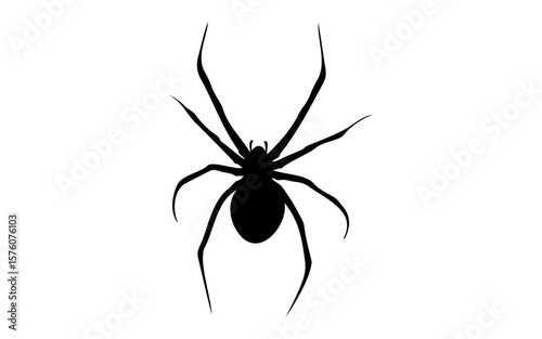 Halloween Spider – Black and White Vector Line Art