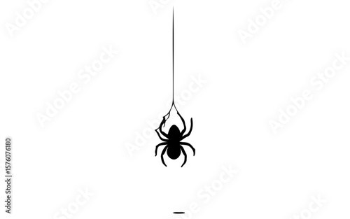 Halloween Spider – Black and White Vector Line Art