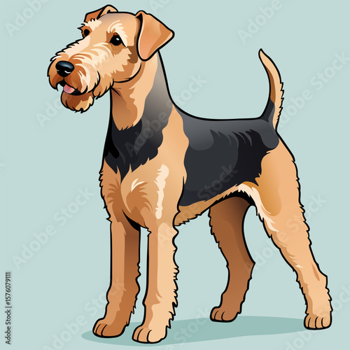 Airedale Terrier, dog, pet, handmade drawing vector illustration, poster, banner, isolated on background