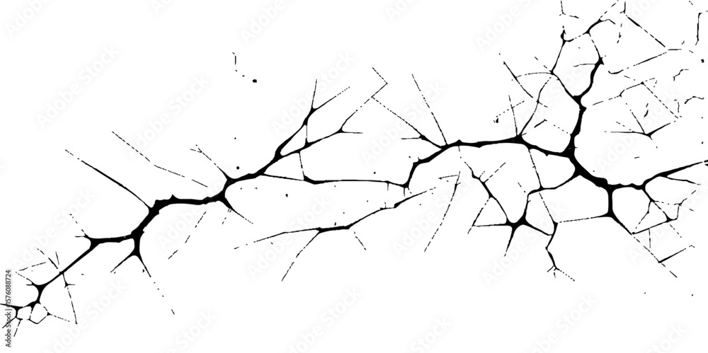 A silhouette of winter branches frames a shattered wall with a cracked design, revealing a hint of nature's pattern