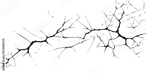 A silhouette of winter branches frames a shattered wall with a cracked design, revealing a hint of nature's pattern