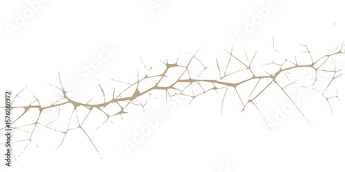 Dry dead tree branches against a winter sky