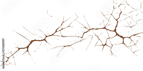 Shattered glass pattern with a silhouette of a winter tree branch against the sky