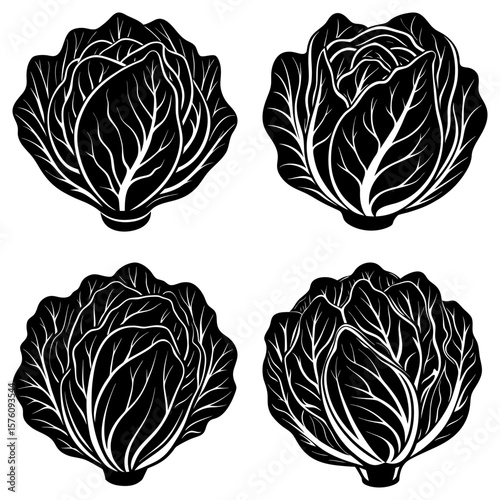 Four black and white cabbages with detailed leaf patterns arranged on a white background in a square format