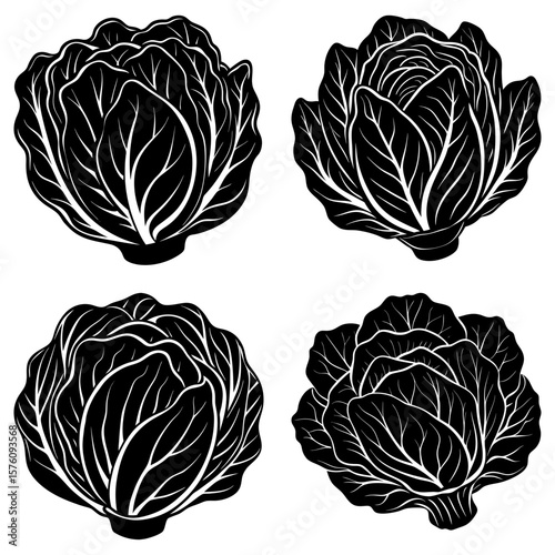 Four monochrome cabbage heads with detailed leaf venation arranged in a square pattern on white background