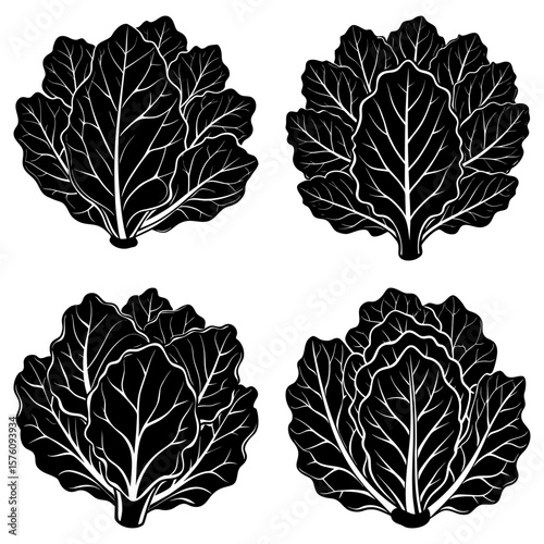 Four black and white stylized cabbage heads with detailed leaf veins arranged symmetrically on white