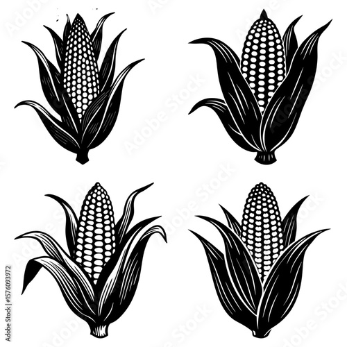 Four black and white corn cobs with husks in a symmetrical arrangement on a white background