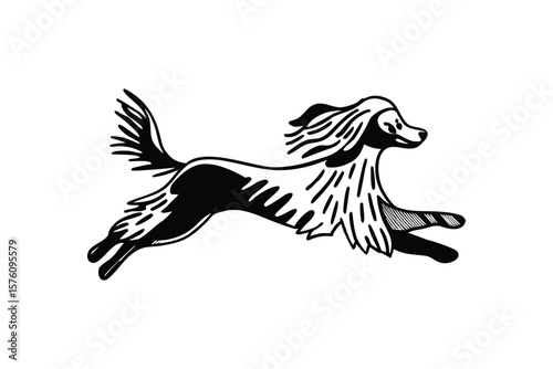 he dog has a flowing mane and tail