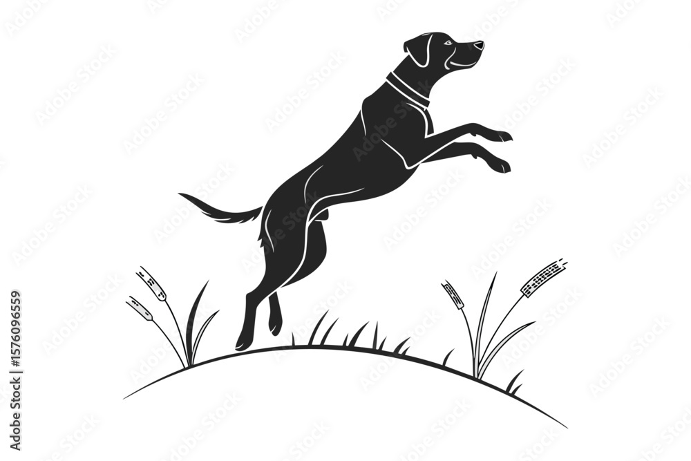Fototapeta premium of a dog silhouette.