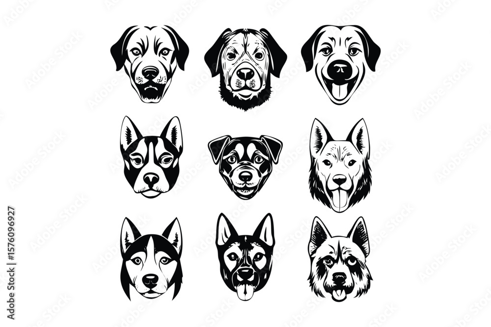 Fototapeta premium showcasing different profiles dog.