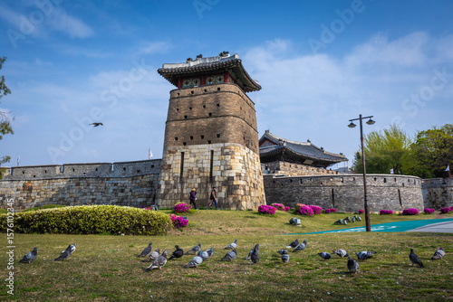 Summer at Suwon Old city wall at Hwaseong Fortress, Traditional Architecture of Korea at Suwon, South Korea.