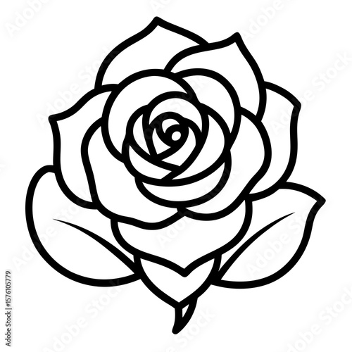 black rose vector illustration