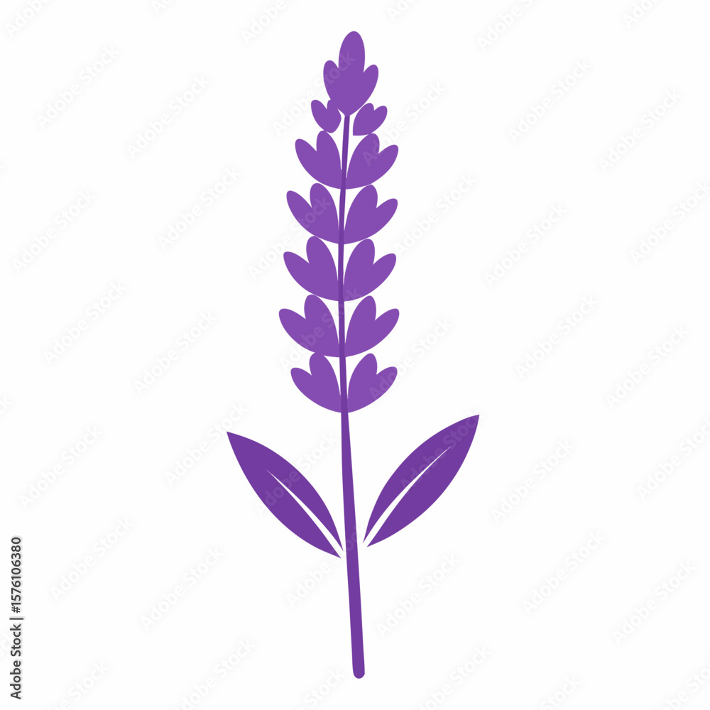 Obraz premium violet flower isolated on white background