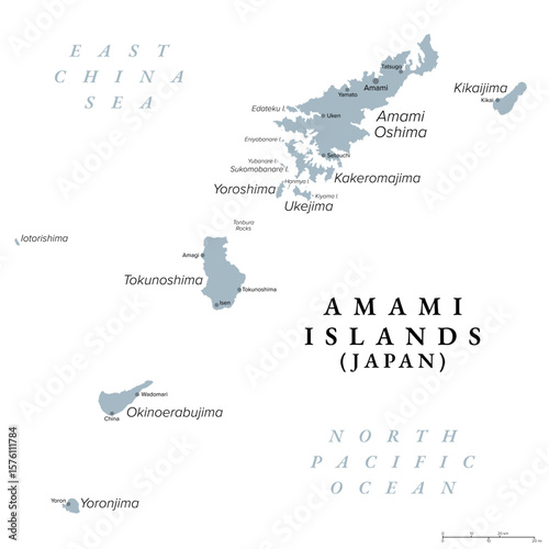 Amami Islands, island group of Japan, gray political map. Japanese archipelago in the Satsunan Islands, which is part of the Ryukyu Islands, and belonging to the Kagoshima Prefecture. Illustration