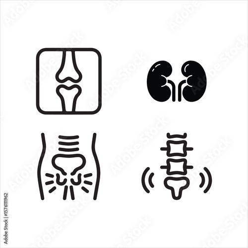 Medical Bone and Spine Icon Set – Human Anatomy Line Art