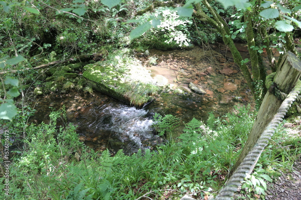 Fototapeta premium Río