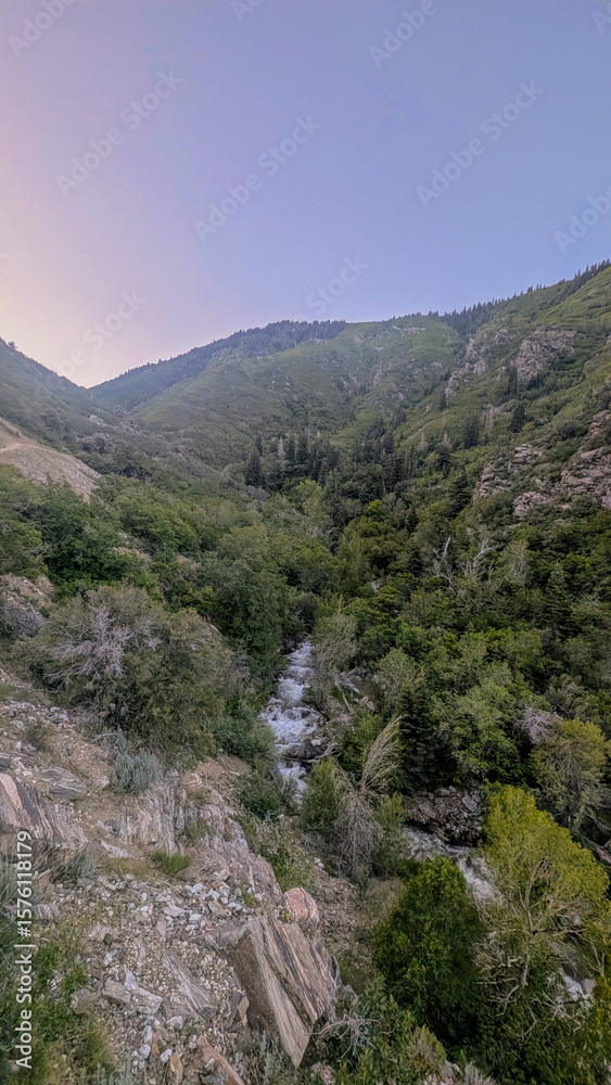 Fototapeta premium Summer Morning Hiking Views of Farmington Canyon Utah Waterfall River
