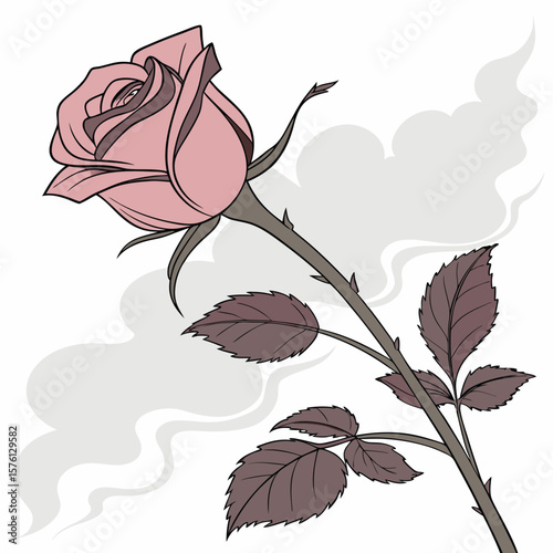 A single vibrant cerise rose in perfect full bloom, showcasing its rich color and delicate petals beautifully.