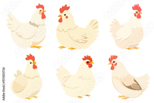 Collection of Cute Cartoon White Chicken Hen Farm Animal Bird Poultry Vector Illustrations Graphic Elements