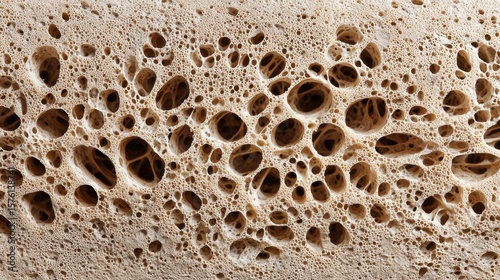 Porous Texture Background Close-up of a Honeycomb-like Surface