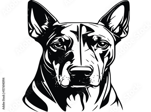 vector illustration of a Doberman-pinscher