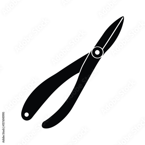 nail cutter on white background