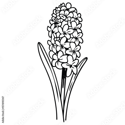 A blue hyacinth cluster, with tiny, fragrant, tightly grouped blooms, filling the air with sweet spring perfume.