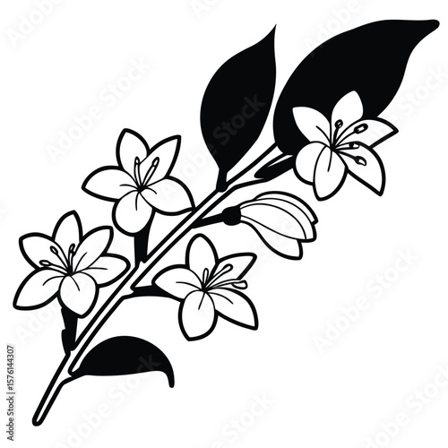 A fragrant jasmine sprig, gently trailing, with pristine white blossoms, exuding a sweet and serene elegance.