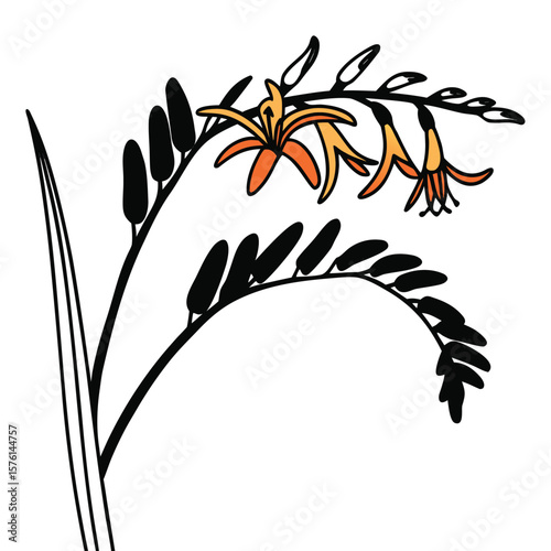 An orange crocosmia, with a slender stem and fiery blooms, creating a dynamic and striking vertical accent.
