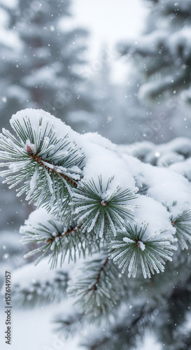 Freshly fallen snow adorns the evergreen boughs of a pine tree, creating a winter scene with a soft, muted palette and a sense of peaceful tranquility during a snow flurry.