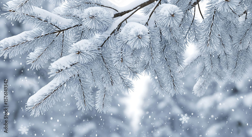 Frosty winter wonderland presents snowy pine branches adorned with fresh snowfall, embodying the serene beauty and peacefulness of a cold, quiet winter season with glistening ice crystals.