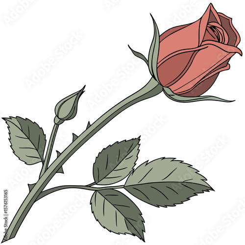 A red rosebud, gently unfurling in soft morning light, isolated on a white background, symbolizing new beginnings.