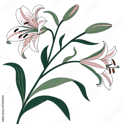 A speckled alstroemeria lily, fanned out with vibrant details, showcasing its exotic beauty and unique markings.