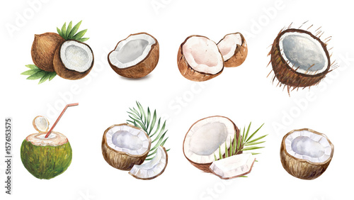 Set of watercolor coconut