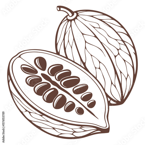 The bold, almost architectural form of a dried lotus pod, with distinct chambers, showcasing its fascinating natural structure.