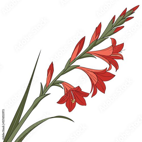 The bold, ascending form of a gladiolus spike, in perfect bloom, creating a majestic and striking vertical accent.