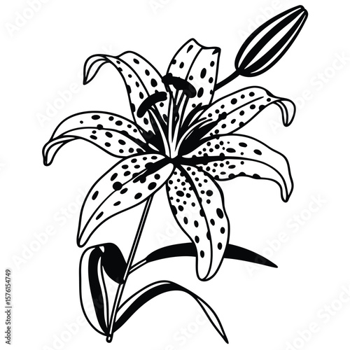 The striking yellow petals of a tiger lily, with prominent black spots, creating a bold and exotic floral pattern.