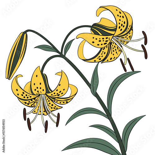 A yellow tiger lily, with black striped petals, a striking and exotic bloom showcasing its vibrant patterns.