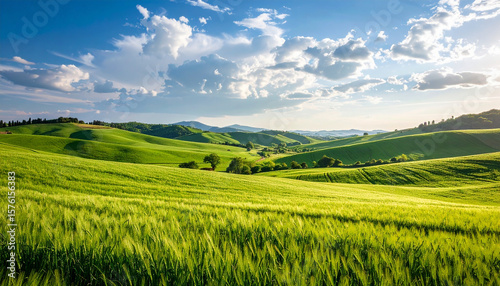 With a partly cloudy sky overhead, the vast rolling green fields form a picturesque and serene rural vista, embodying the simple yet profound beauty of the natural world.