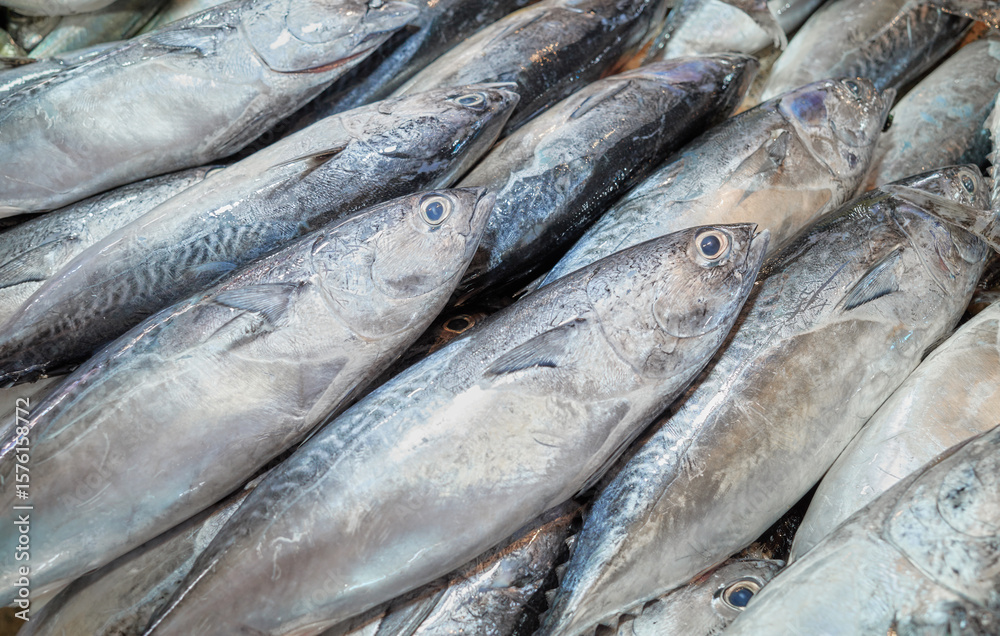 Obraz premium Freshly caught sea fish at a market, Borneo, Malaysia.