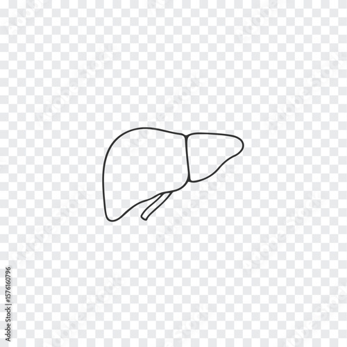 Simple outline drawing of the human liver organ a vital internal organ presented as a clean silhouette