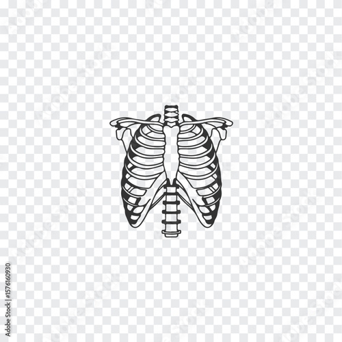 A minimalist black and white silhouette of a human rib cage and sternum isolated on a transparent background