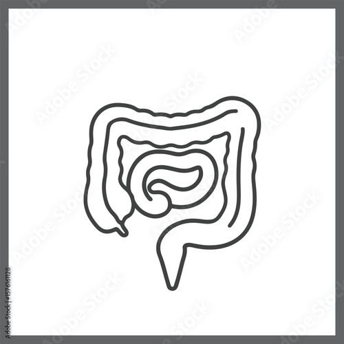 Stylized outline of human intestines and colon showing digestive system silhouette
