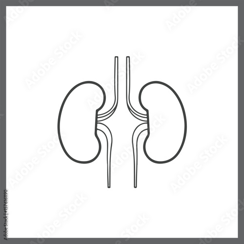 Stylized outline drawing of human kidneys connected to ureters and renal arteries and veins silhouette