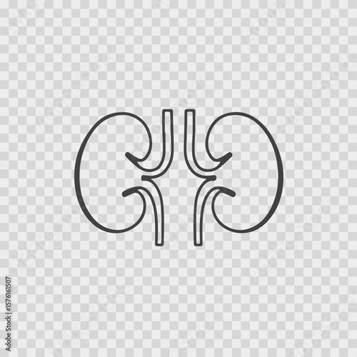 Stylized outline of human kidneys with ureters depicted in a clean minimalist silhouette style